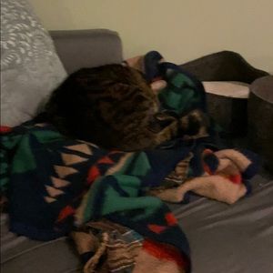 Meet your Posher, Violet